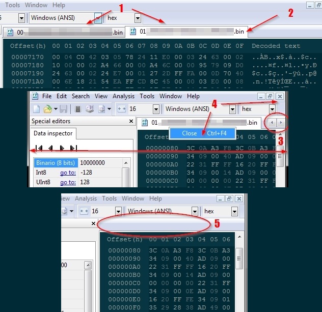 HxD_missing_tab_steps.jpg