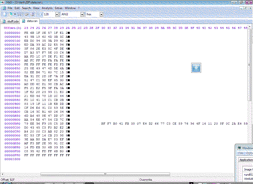 bug.gif
